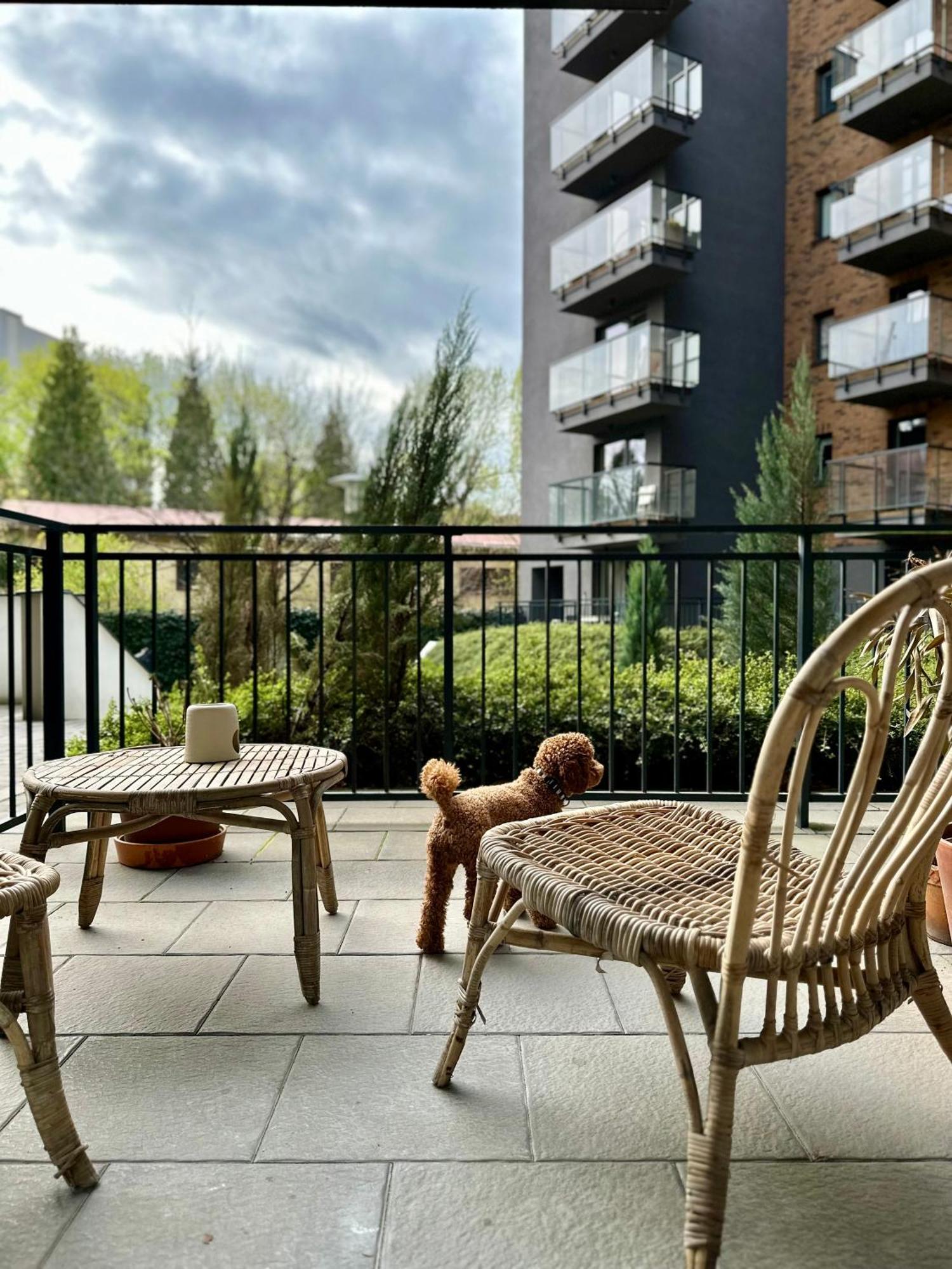 Pure Apartment N°1 Wrocław Extérieur photo